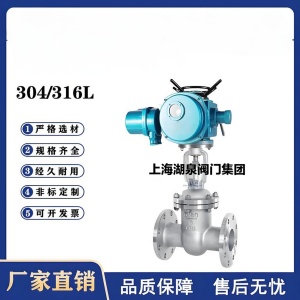 Z941W-16P，DN250，CF8/F304不銹鋼電動(dòng)閘閥